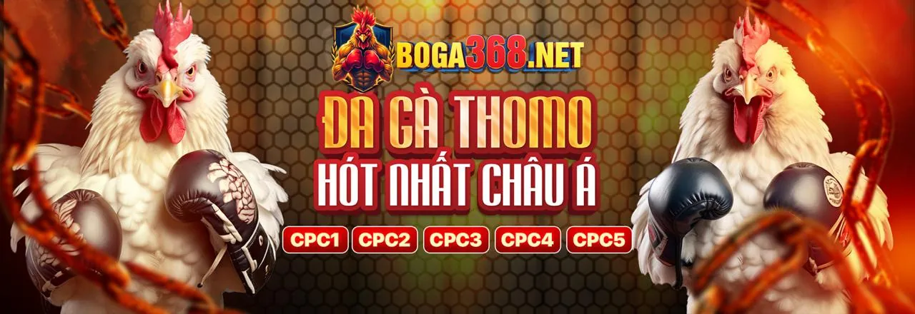 Trải nghiệm Casino trực tuyến đỉnh cao tại Haywin